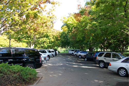 phòng tránh cháy, nổ xe ô tô